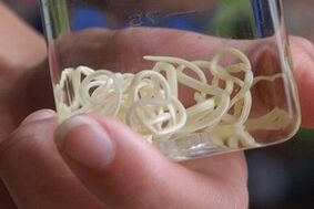 parásitos del cuerpo humano